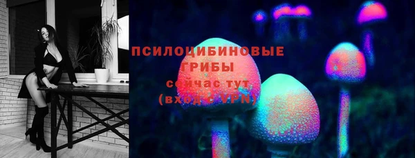 мет Новосибирск