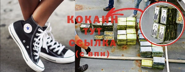 твердый Кулебаки