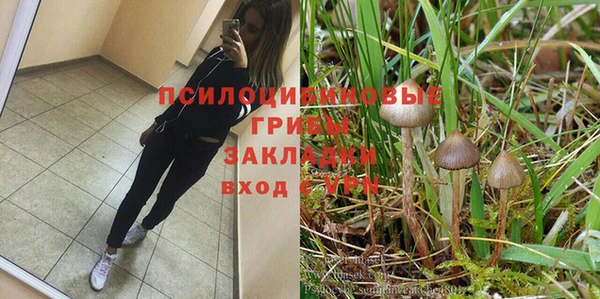 дурь Кукмор