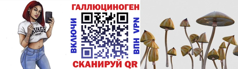 Галлюциногенные грибы Magic Shrooms хочу наркоту Арзамас