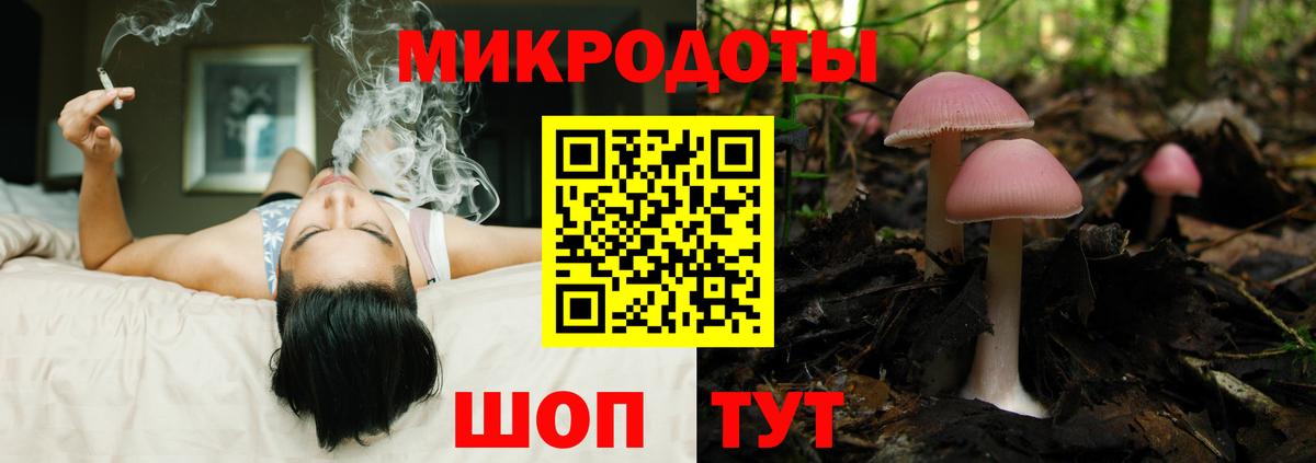 Галлюциногенные грибы GOLDEN TEACHER  Вход с VPN  Арзамас 